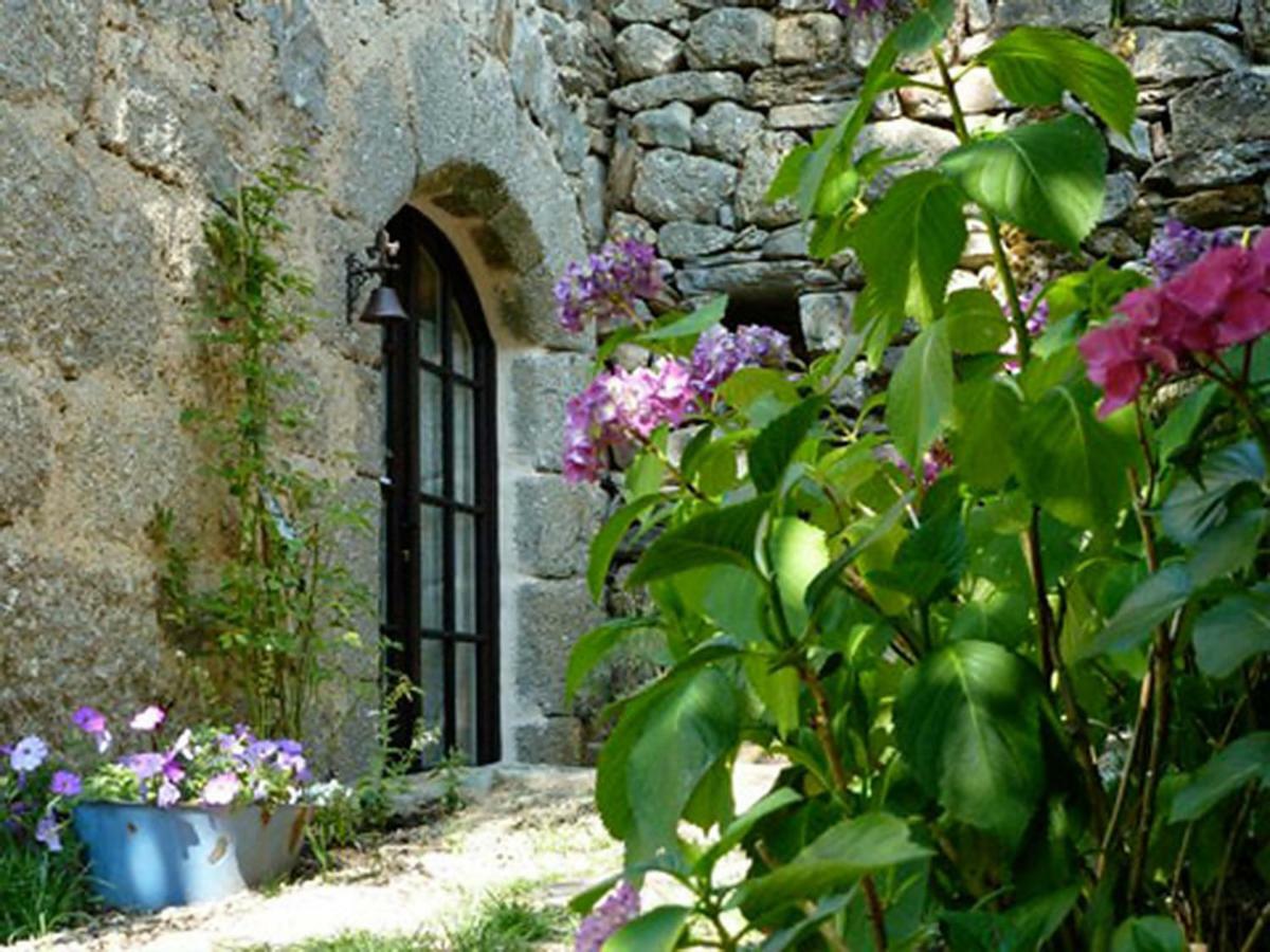 Le Studio Entraygues-sur-Truyere Exterior photo